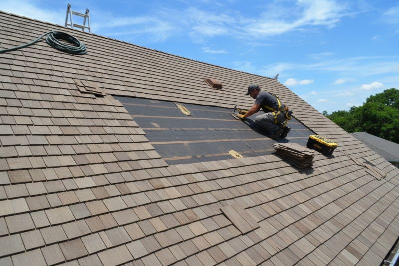 Repair Shingle Roof